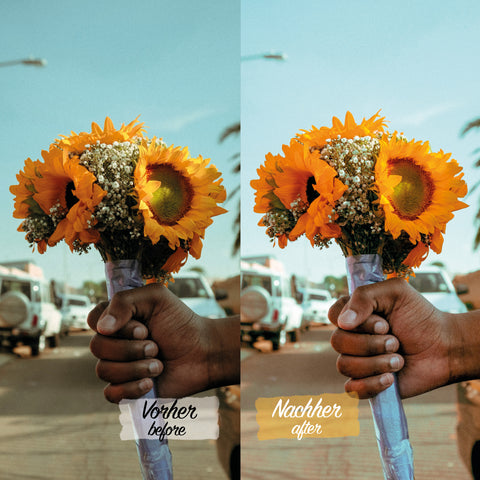 SUMMER PACK - 40 Presets für Lightroom