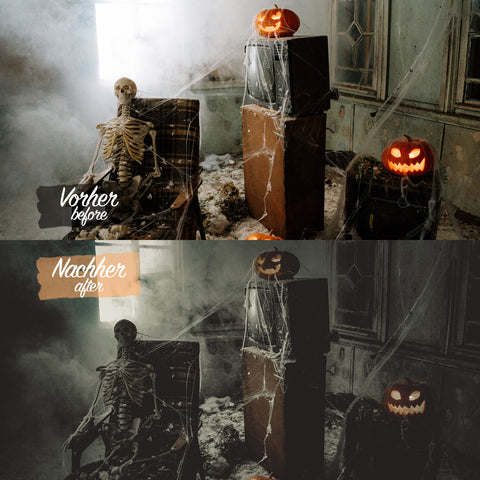 HALLOWEEN PACK - 20 Presets für Lightroom