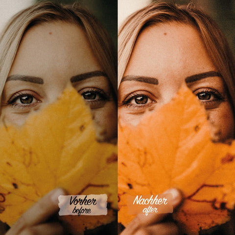 AUTUMN Preset für Lightroom