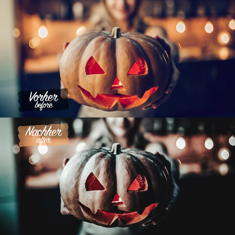 HALLOWEEN Preset für Lightroom