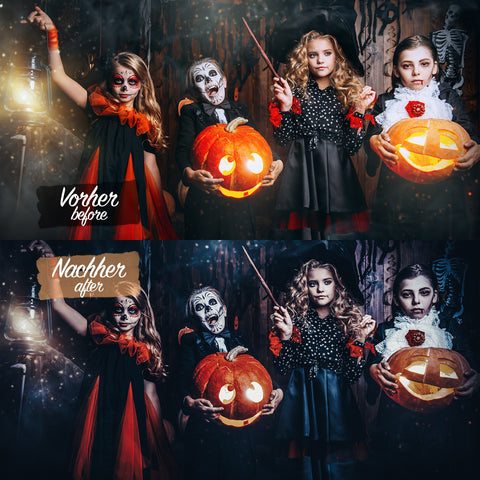 HALLOWEEN PACK - 20 Presets für Lightroom