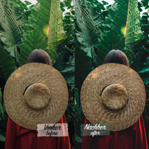 TROPICAL Preset für Lightroom