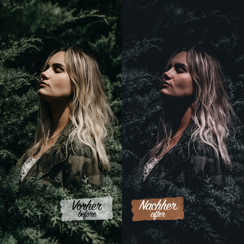 CINEMATIC DARK VOL. II Preset für Lightroom