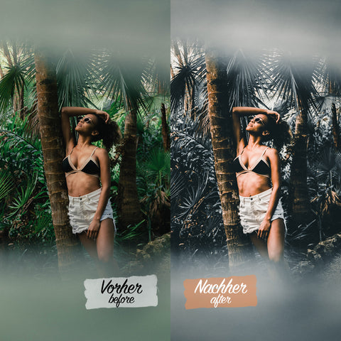 CINEMATIC DARK VOL. II Preset für Lightroom