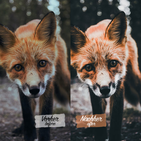 CINEMATIC DARK VOL. II Preset für Lightroom