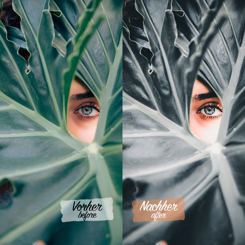 CINEMATIC DARK VOL. II Preset für Lightroom