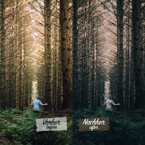 CINEMATIC FOREST Preset für Lightroom