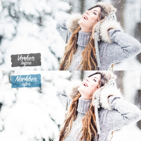 FREEZY WINTER Preset für Lightroom
