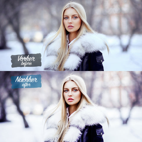 FREEZY WINTER Preset für Lightroom