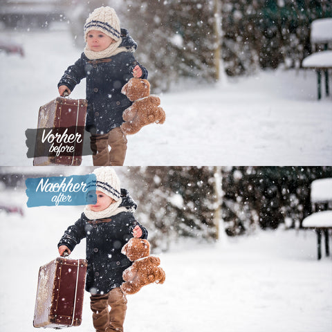 FREEZY WINTER Preset für Lightroom