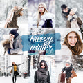 FREEZY WINTER Preset for Lightroom