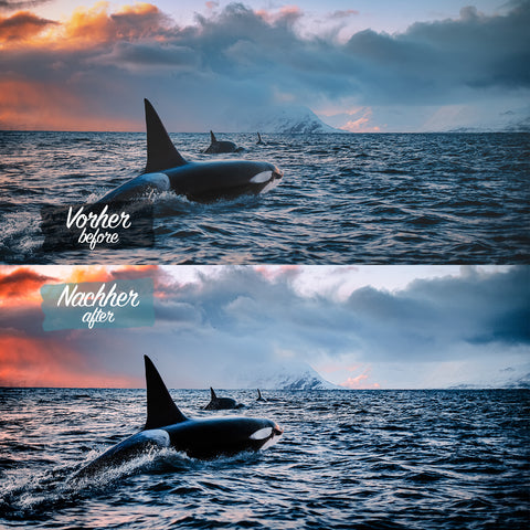 OVER THE SEA Preset für Lightroom